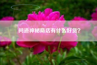 问道神秘商店有什么好货？