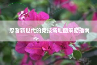 忍者新世代的竞技场地图策略指南