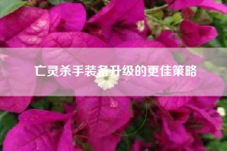 亡灵杀手装备升级的更佳策略