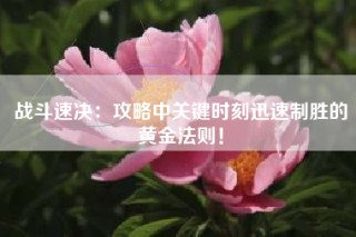 战斗速决：攻略中关键时刻迅速制胜的黄金法则！