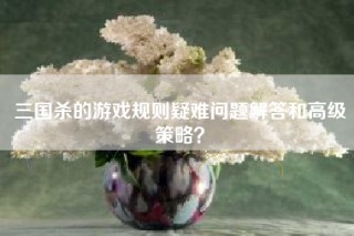 三国杀的游戏规则疑难问题解答和高级策略？