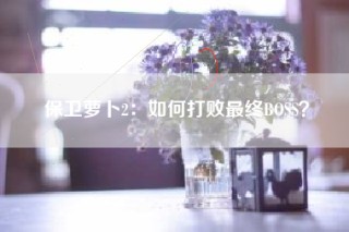 保卫萝卜2：如何打败最终BOSS？