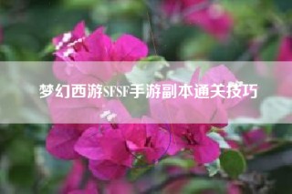 梦幻西游SFSF手游副本通关技巧