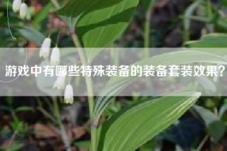 游戏中有哪些特殊装备的装备套装效果？