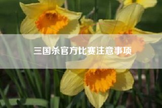 三国杀官方比赛注意事项