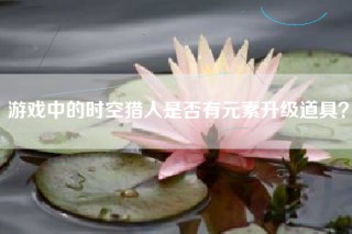 游戏中的时空猎人是否有元素升级道具？