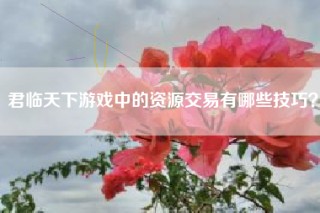 君临天下游戏中的资源交易有哪些技巧？