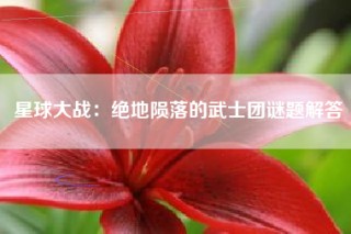 星球大战：绝地陨落的武士团谜题解答