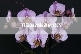 升级游戏装备的技巧