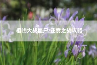 植物大战僵尸2迷雾之战攻略