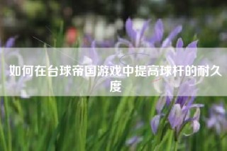 如何在台球帝国游戏中提高球杆的耐久度