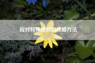 应对特殊挑战的攻略方法