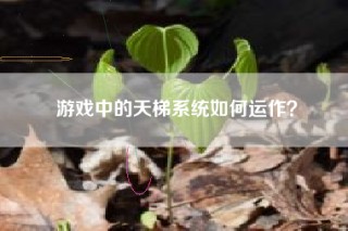游戏中的天梯系统如何运作？