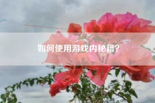 如何使用游戏内秘籍？