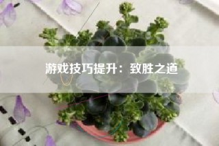 游戏技巧提升：致胜之道