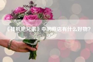 《挂机吧兄弟》中的商店有什么好物？
