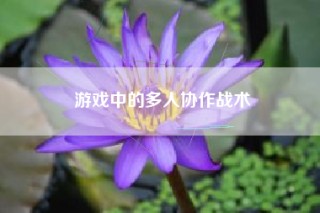 游戏中的多人协作战术