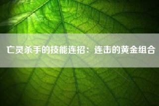 亡灵杀手的技能连招：连击的黄金组合