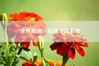 全民奇迹：玩转宠物系统