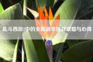 乱斗西游2中的全新副本挑战攻略与心得