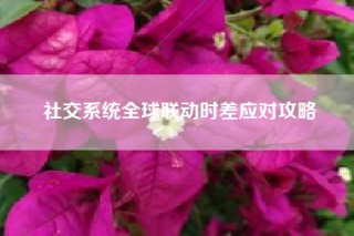 社交系统全球联动时差应对攻略