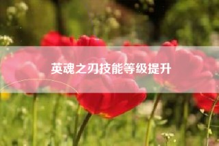 英魂之刃技能等级提升