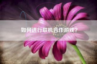 如何进行联机合作游戏？