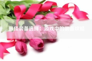 最佳装备选择：游戏中的装备攻略