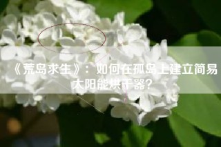 《荒岛求生》：如何在孤岛上建立简易太阳能烘干器？
