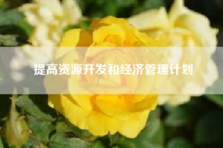 提高资源开发和经济管理计划