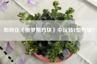 如何在《俄罗斯方块》中玩转T型方块？