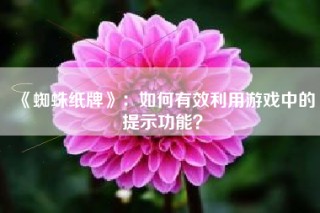 《蜘蛛纸牌》：如何有效利用游戏中的提示功能？
