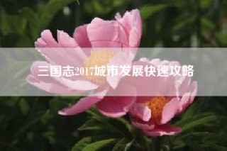 三国志2017城市发展快速攻略