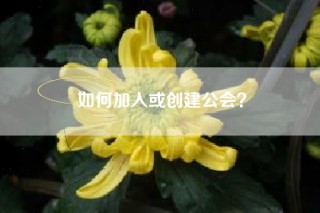 如何加入或创建公会？