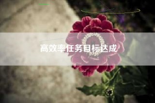 高效率任务目标达成