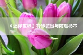 《迷你世界》特殊装备与附魔秘术