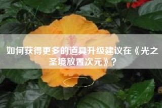 如何获得更多的道具升级建议在《光之圣境放置次元》？