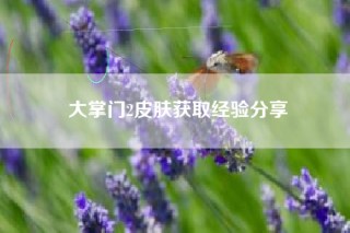 大掌门2皮肤获取经验分享