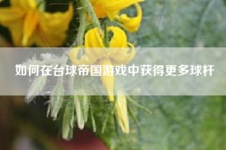 如何在台球帝国游戏中获得更多球杆
