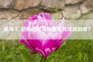 航海王-启航的游戏中是否有成就勋章？