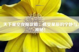 天下星空夜观攻略：感受星辰的宁静与神秘！