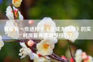 有没有一些适用于《合成大西瓜》的实时屏幕亮度调整技巧？