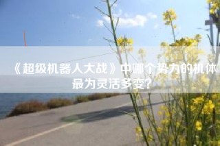 《超级机器人大战》中哪个势力的机体最为灵活多变？