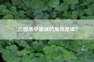 三国杀中最强的角色是谁？