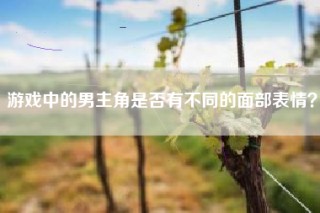 游戏中的男主角是否有不同的面部表情？