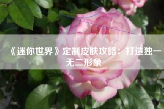 《迷你世界》定制皮肤攻略：打造独一无二形象