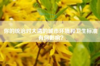 你的统治对大清的城市环境和卫生标准有何影响？