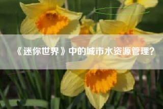 《迷你世界》中的城市水资源管理？