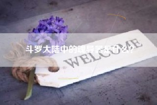 斗罗大陆中的魂导器是什么？
