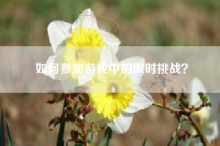 如何参加游戏中的限时挑战？